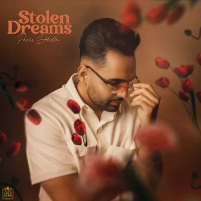 Stolen Dreams (Prem Dhillon)